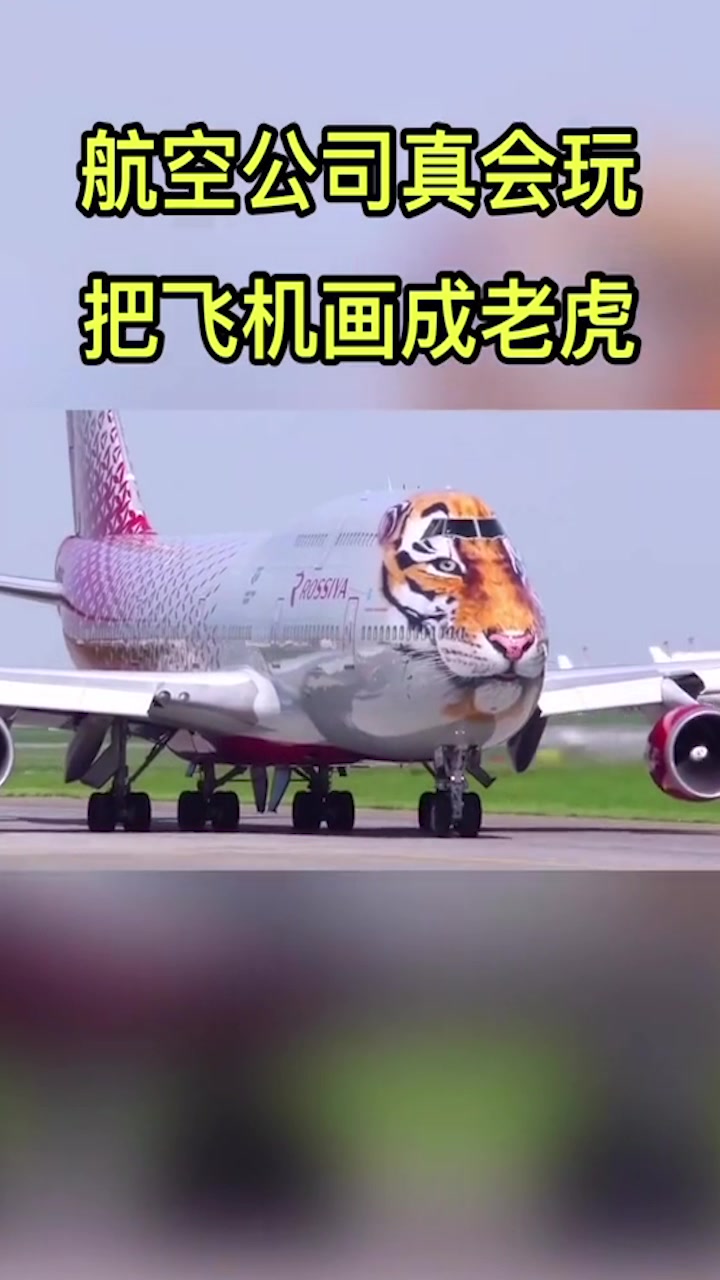 世界上最大的老虎,航空公司真会玩,把飞机画成了大老虎