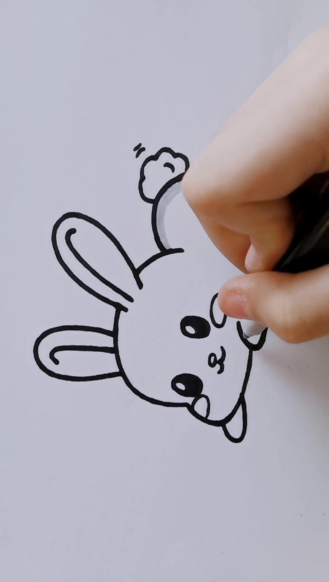 彩色简笔画儿童画 可爱小动物小白兔