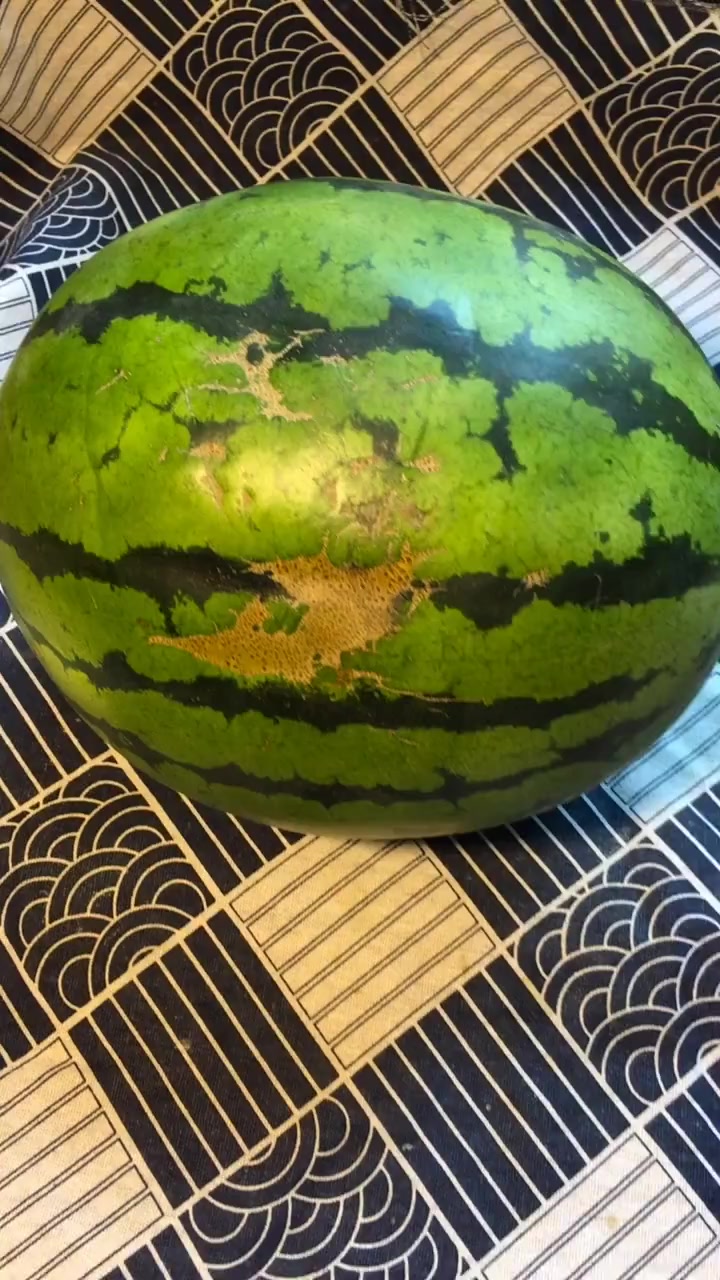 西瓜果冻还能这样做!