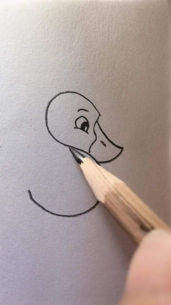 动物简笔画:用“S”型画出可爱的小鸭子,简单易学一看就会