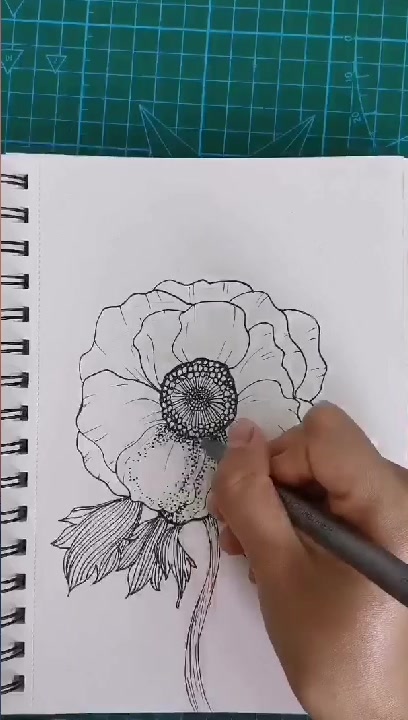 先用铅笔定好位置,再用勾线笔直接画,我也是近才开始练习线描,