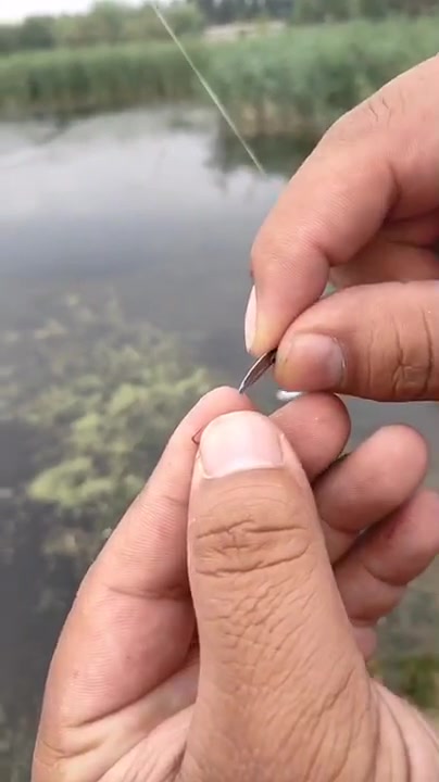 钓鱼瓜子亮片使用教程,又学了一招,下个视频路亚中鱼!