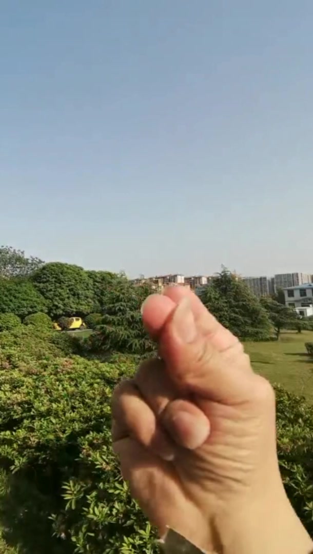 在天空游的鲸鱼,是童年的梦?特效制作看简介