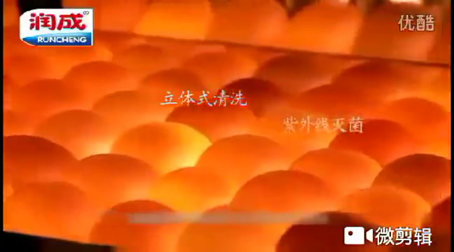 生產日期: 2019年11月01日 至 2020年03月21日 品牌: 潤成 系列: 雞蛋