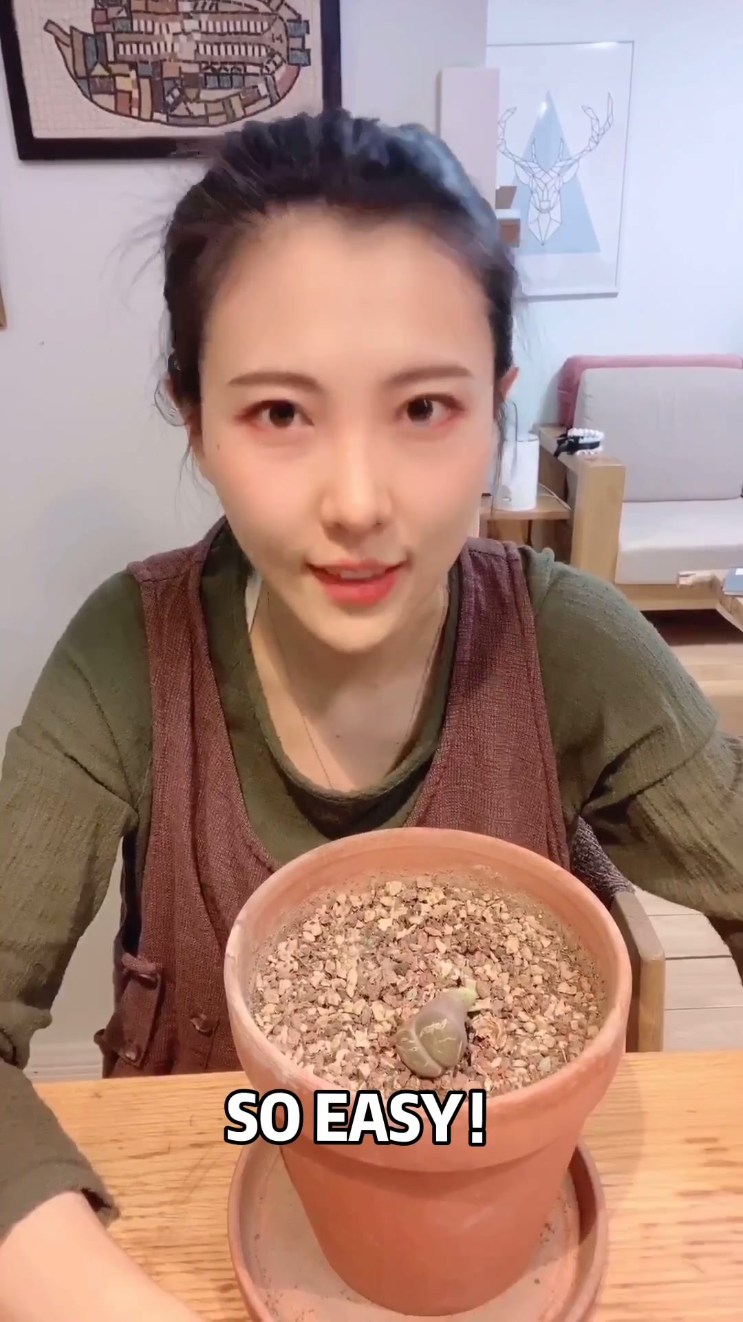成功率100%的植物种植~蔬菜花园走起来