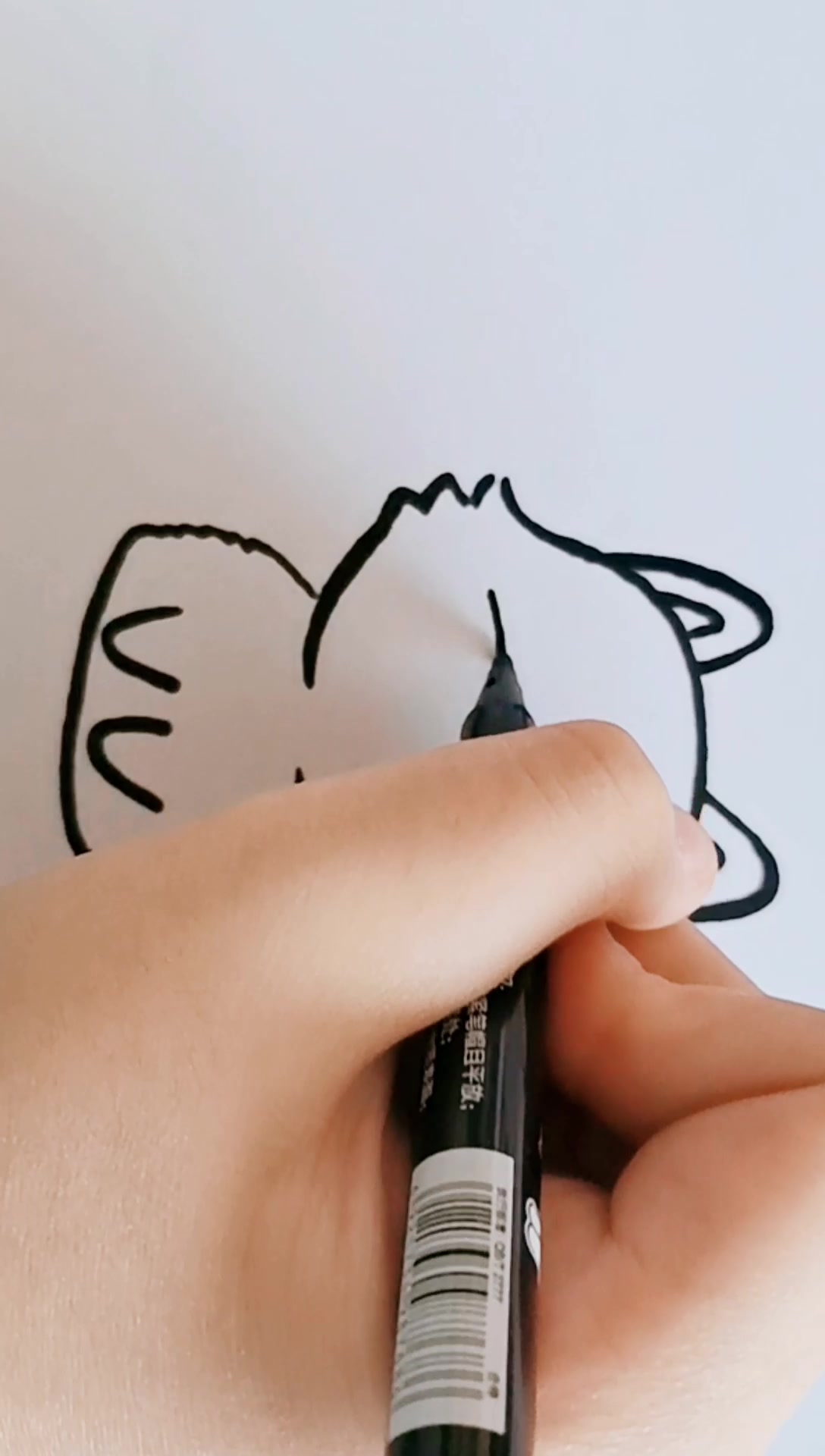 彩色简笔画儿童画 可爱小动物波斯猫 亲子画画