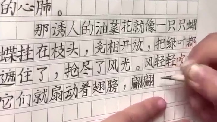 网友:中午带他去看油菜花,下午写小作文 这就是传说中的别人家的孩子吧!