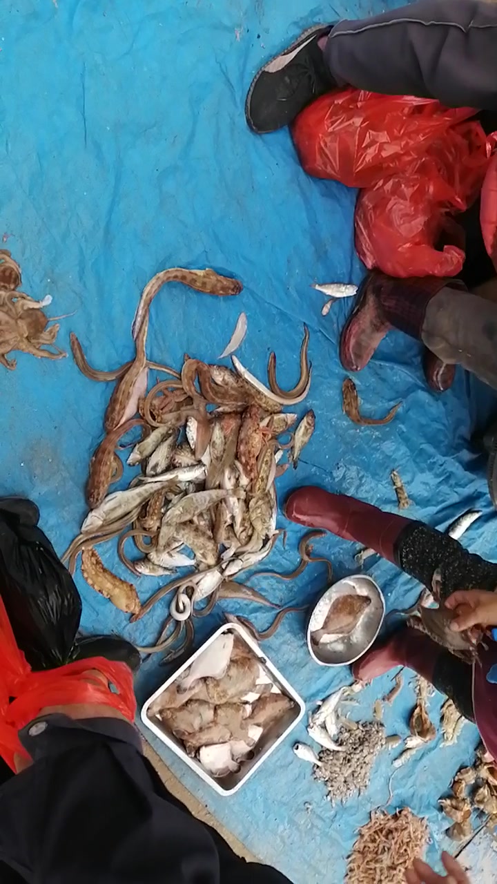 新鲜的海货,都有什么鱼?你能说出它们的学名吗