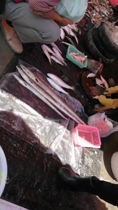 小鱼船上午发回来的白花鱼,新鲜,买了3斤