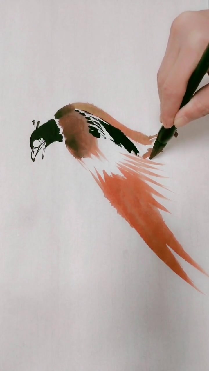 教你画漂亮的山鸡