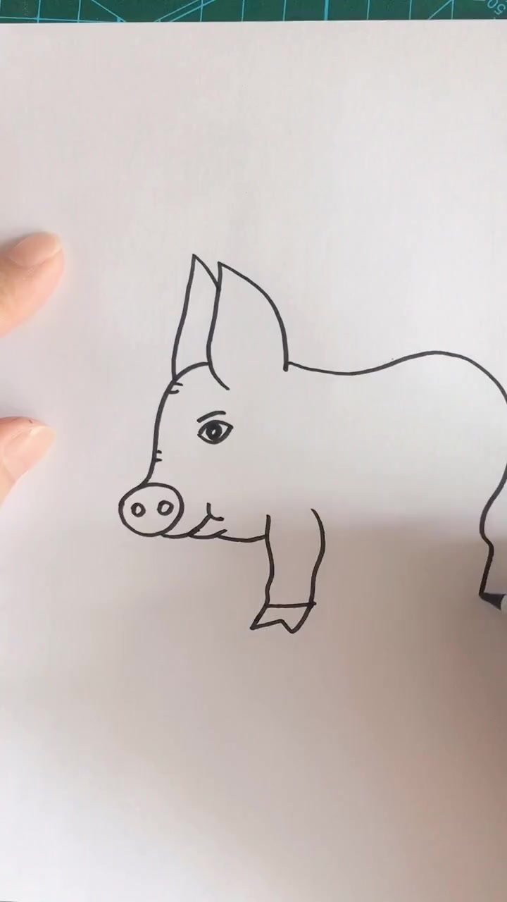 简笔画,现在猪肉可贵了!