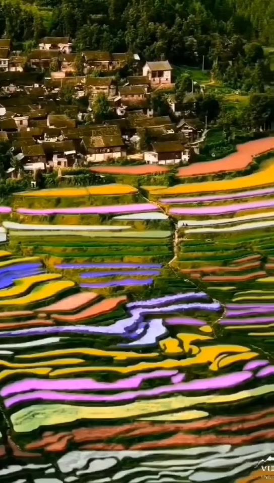 哇!太漂亮了。贵州高要彩色梯田,像水墨画一般