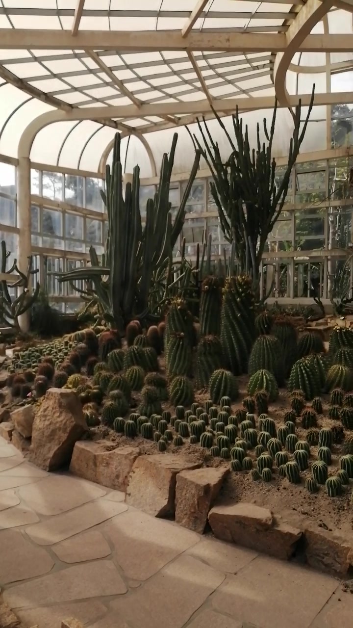 厦门植物园多肉植物馆