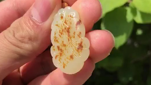 红金鱼!漂亮![嘻嘻][嘻嘻][嘻嘻][嘻嘻]