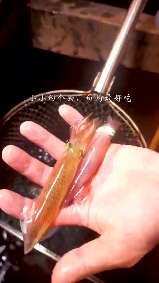 潮汕特色美食之灯光鱿鱼
