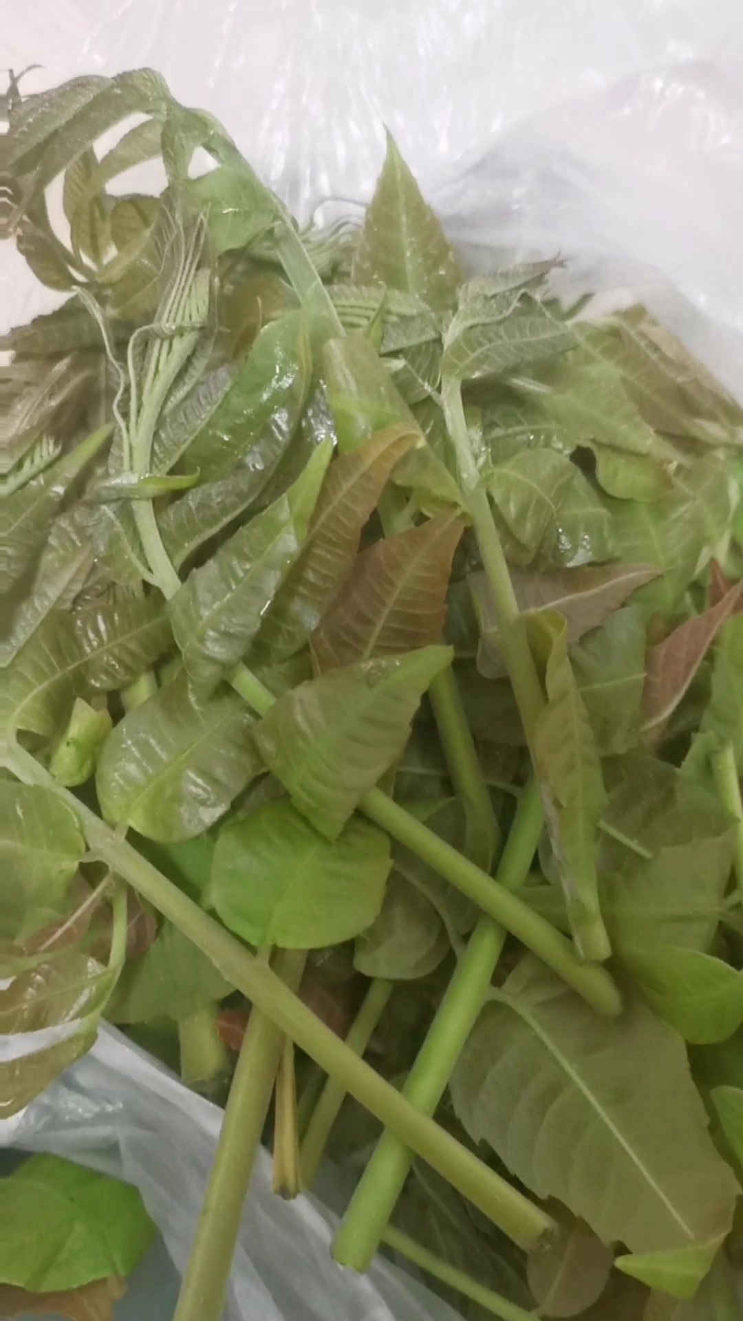 鹅蛋炒春芽,鹅蛋不再是产妇的下奶专属