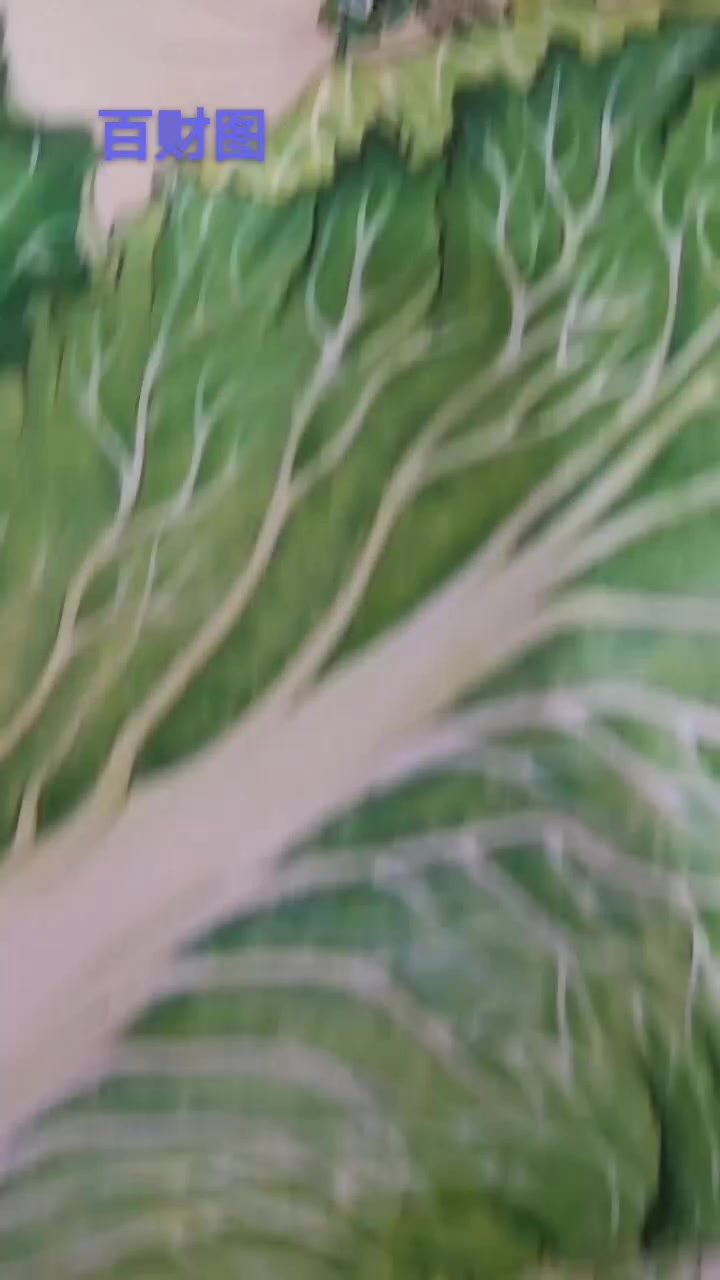 工笔画鸟虫,百财图
