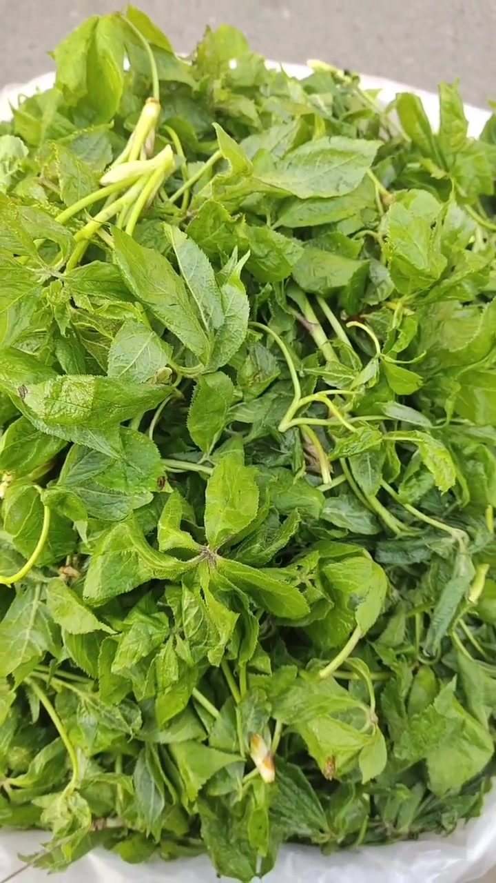 市场上常见的山野菜