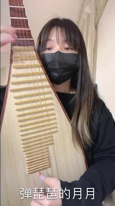 民乐 琵琶 《大鱼》送给大家