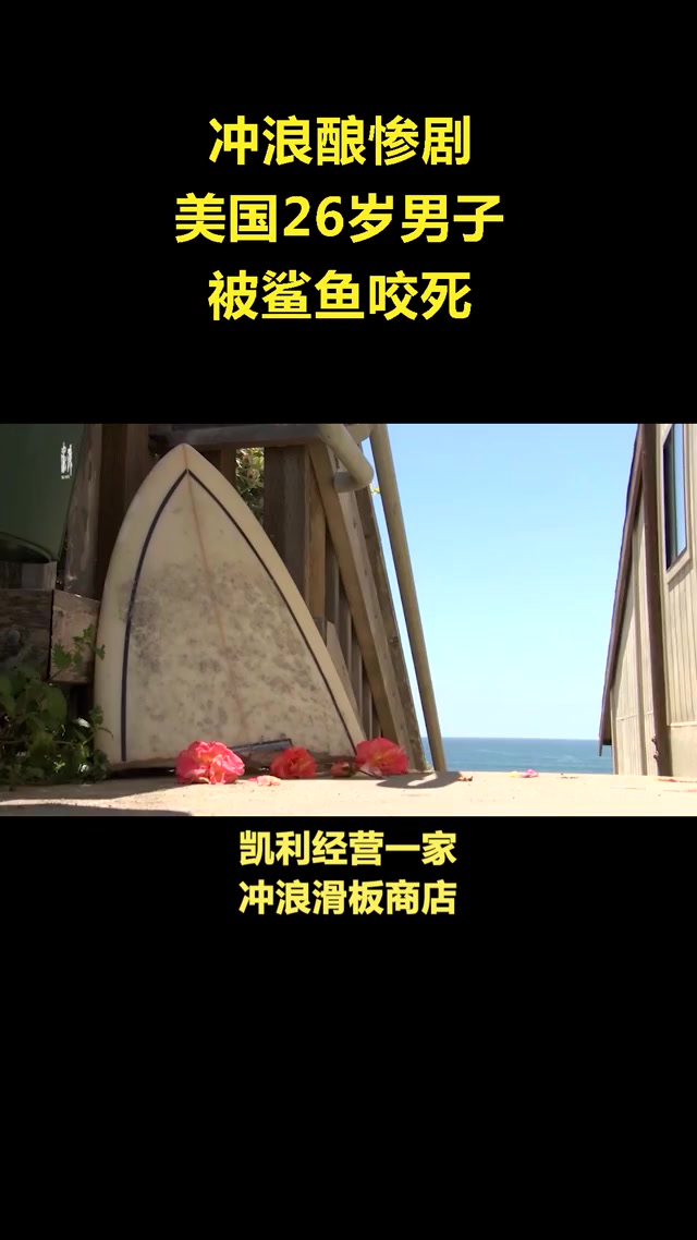 冲浪酿惨剧,美国26岁男子被鲨鱼咬死
