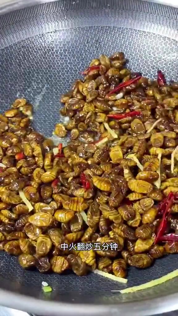 高蛋白又营养的 蚕蛹 这么做简单又好吃
