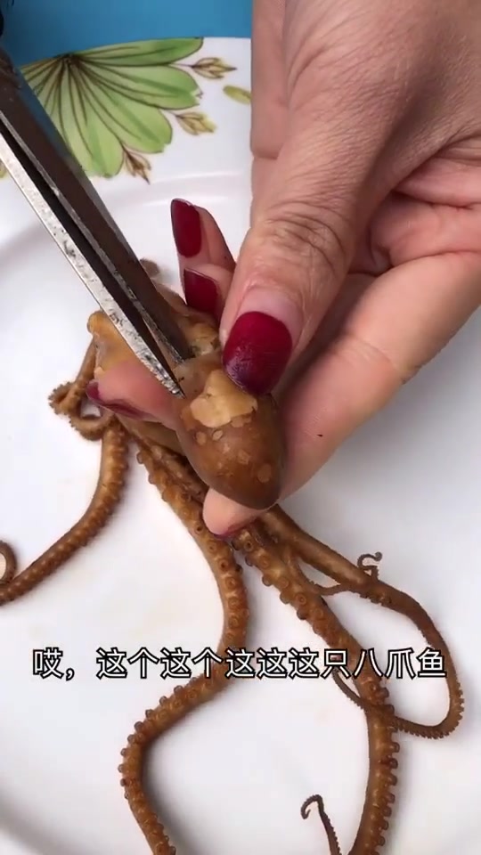 捏一捏这个地方,可以判断熟的八爪鱼里有没有大米