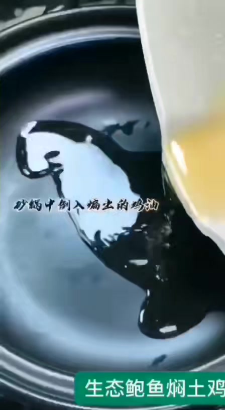 馋哭隔壁小孩系列|鲍鱼焖鸡做法|痴鲜野生海鲜厨艺分享