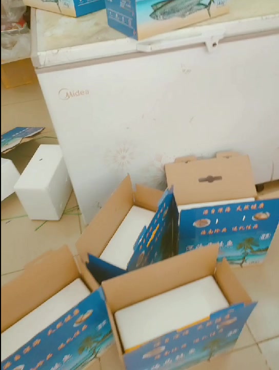 海南特产,马鲛鱼,扁鲛