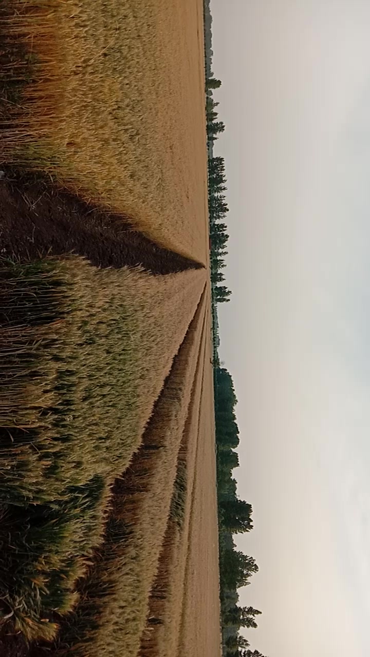 听我地边沟里蚯蚓的叫声,看我们这的小麦长得咋样