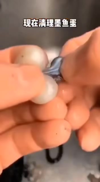 墨鱼蛋蒸大白鲳鱼