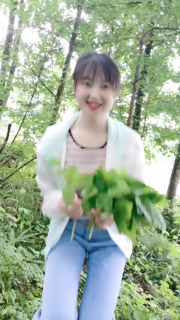 摘野菜了,我们叫它“鸭脚板”,你见过吗?