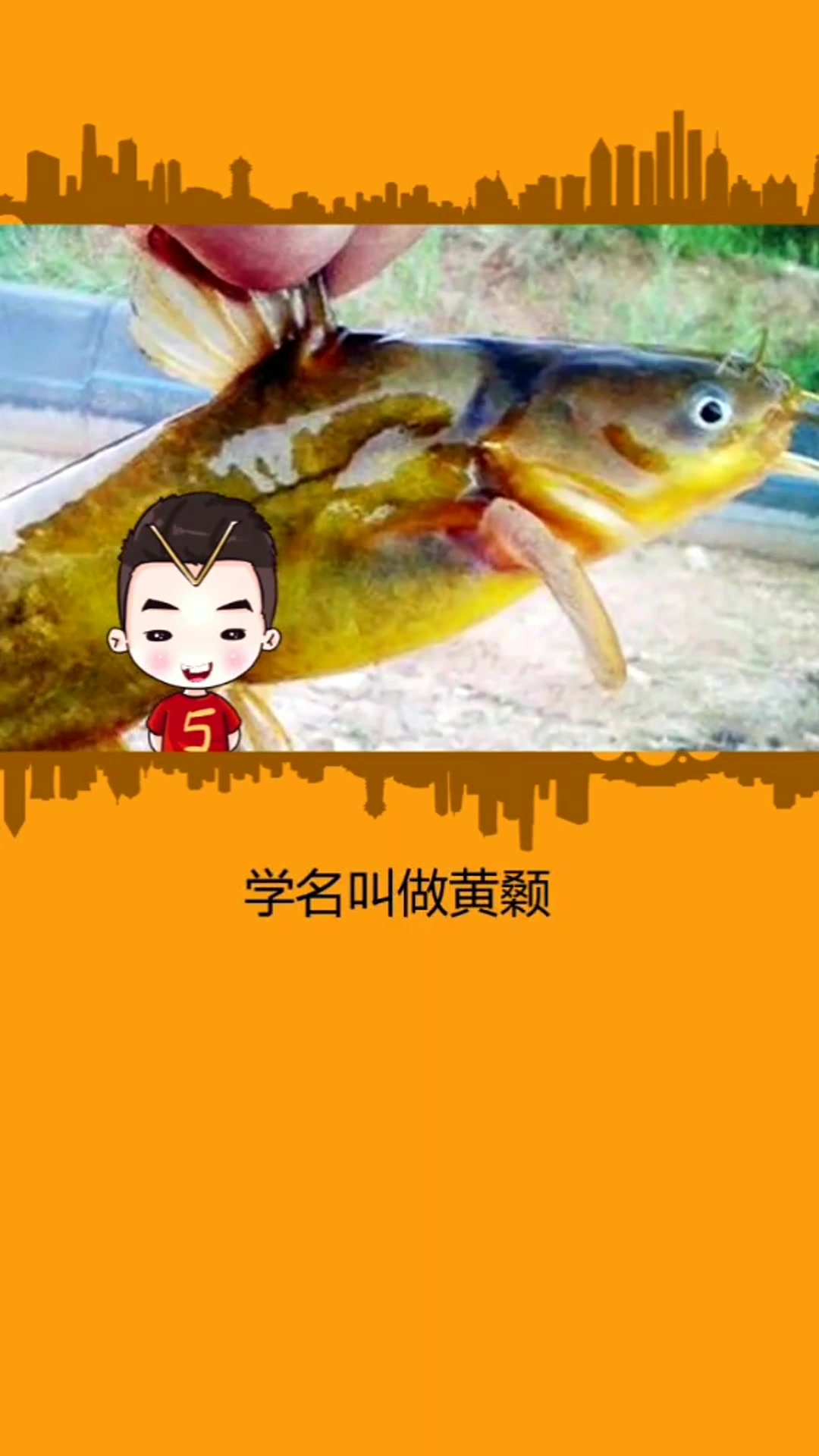 今天说说那些东北的鱼只有东北人才知道是啥#星知计划#