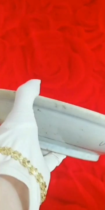清代康熙青花釉里红狮子纹盘