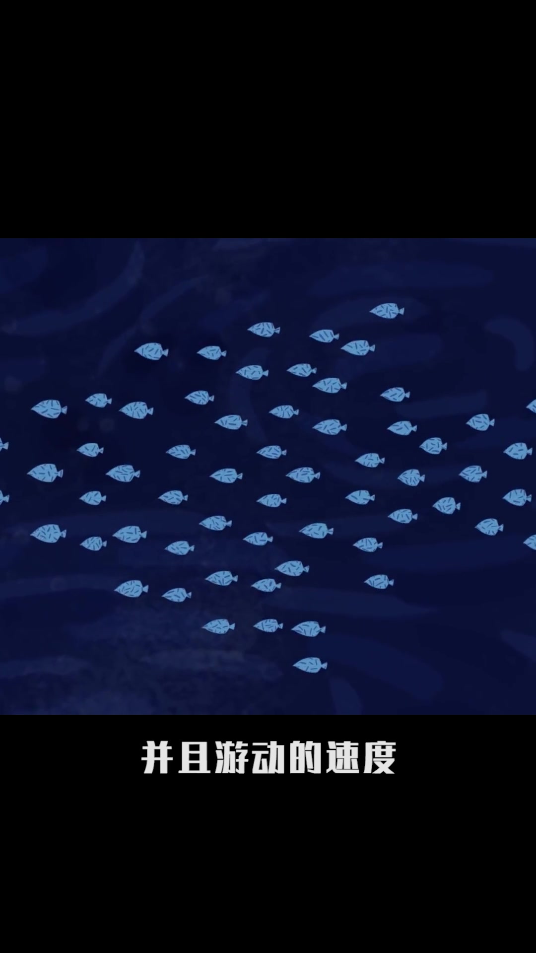 鱼为什么喜欢一起游#星知计划#