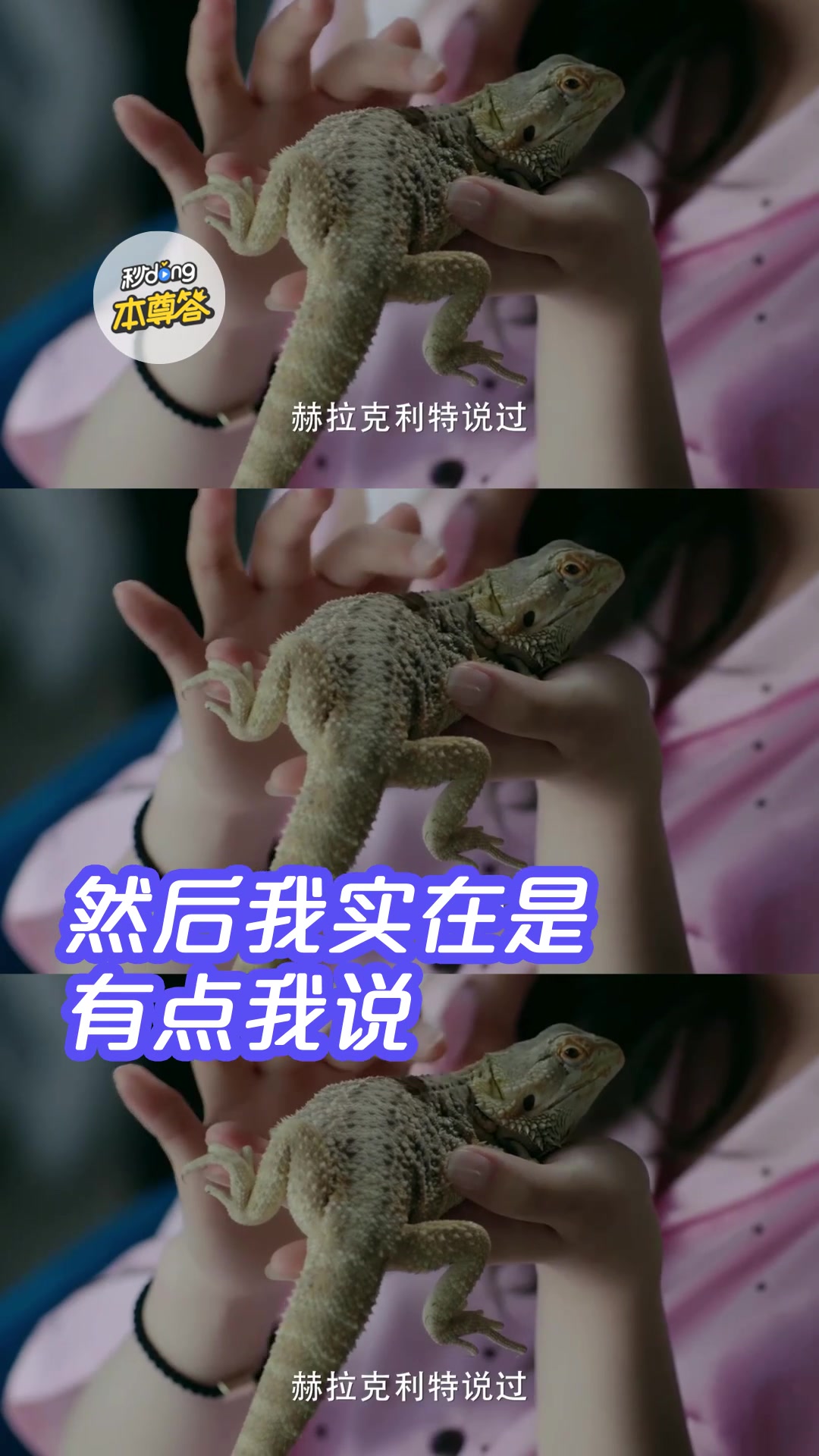 何宣林在《冰糖炖雪梨》 中的角色