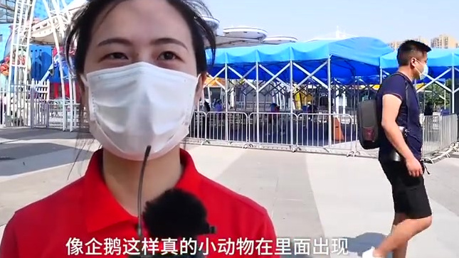 【武汉欢乐谷有两只企鹅游客,饲养员:憋久了】5月24日,武汉海昌极地海洋公园的两只小企鹅来