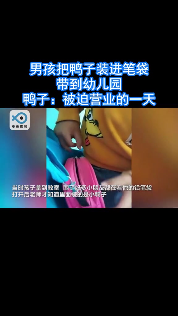 哇原来鸭子小时候这么萌,好像小企鹅
