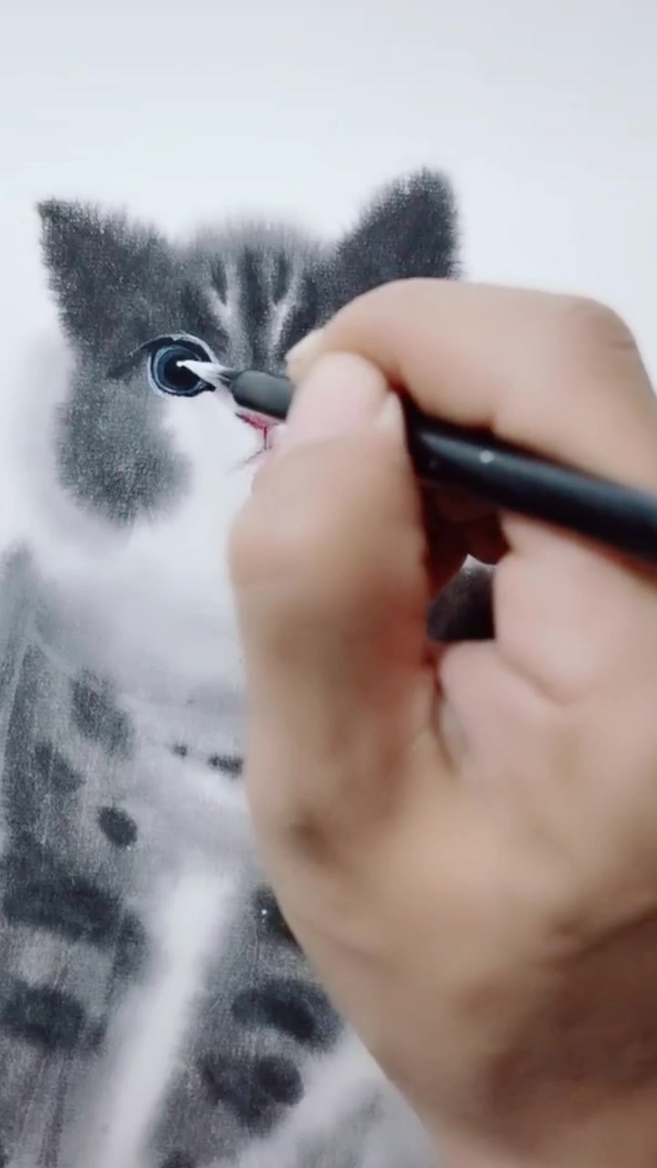 传统写意国画小猫的简单画法,赶紧动起笔来试试看吧