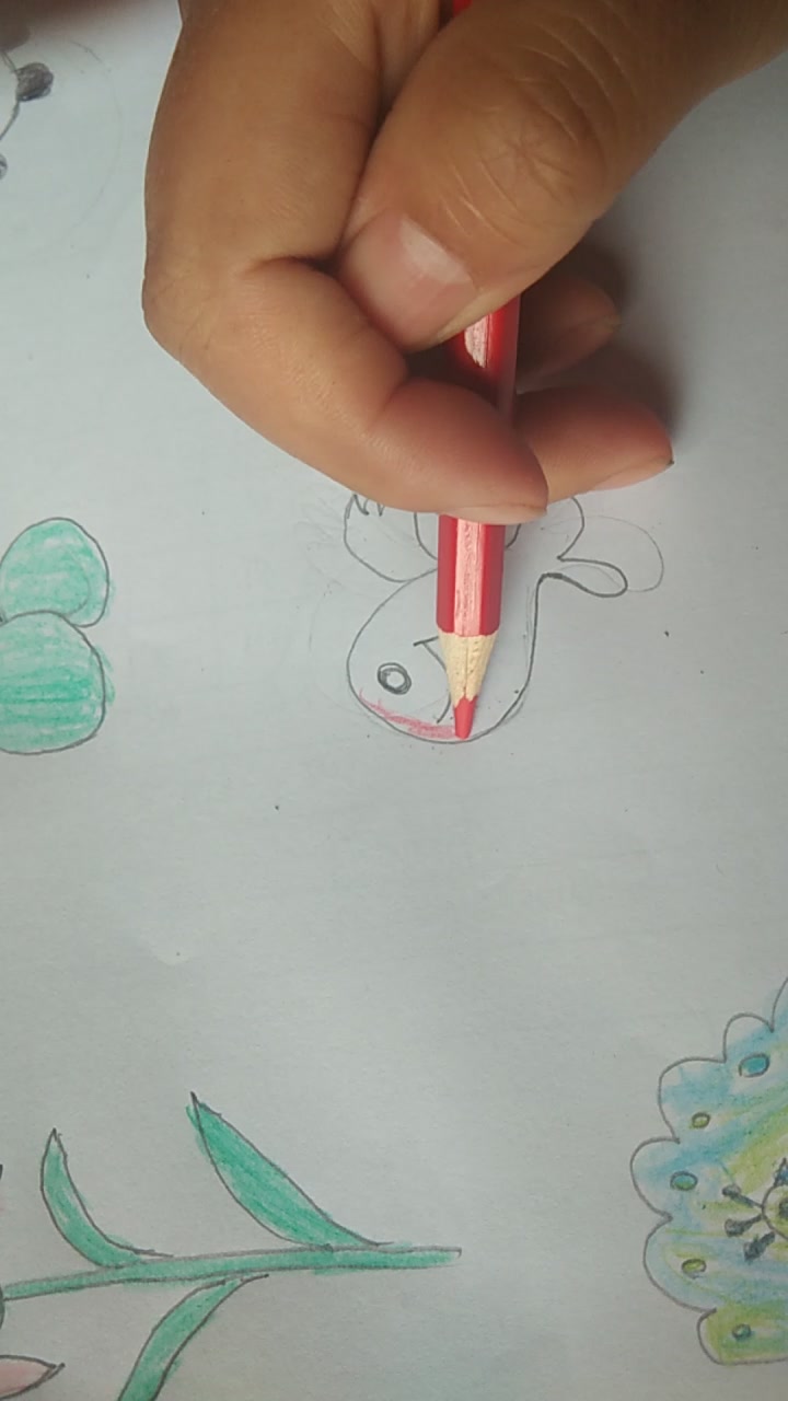 你们看到过会飞的鱼吗?一起来画飞鱼吧!