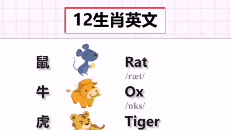 英文的十二生肖大家都会说吗,快来一起分享吧。#打卡# 