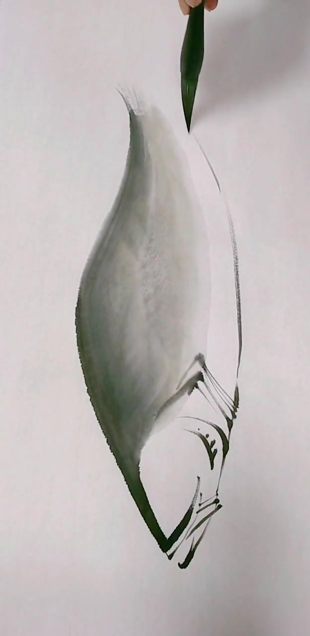 怎样画三文鱼呢?