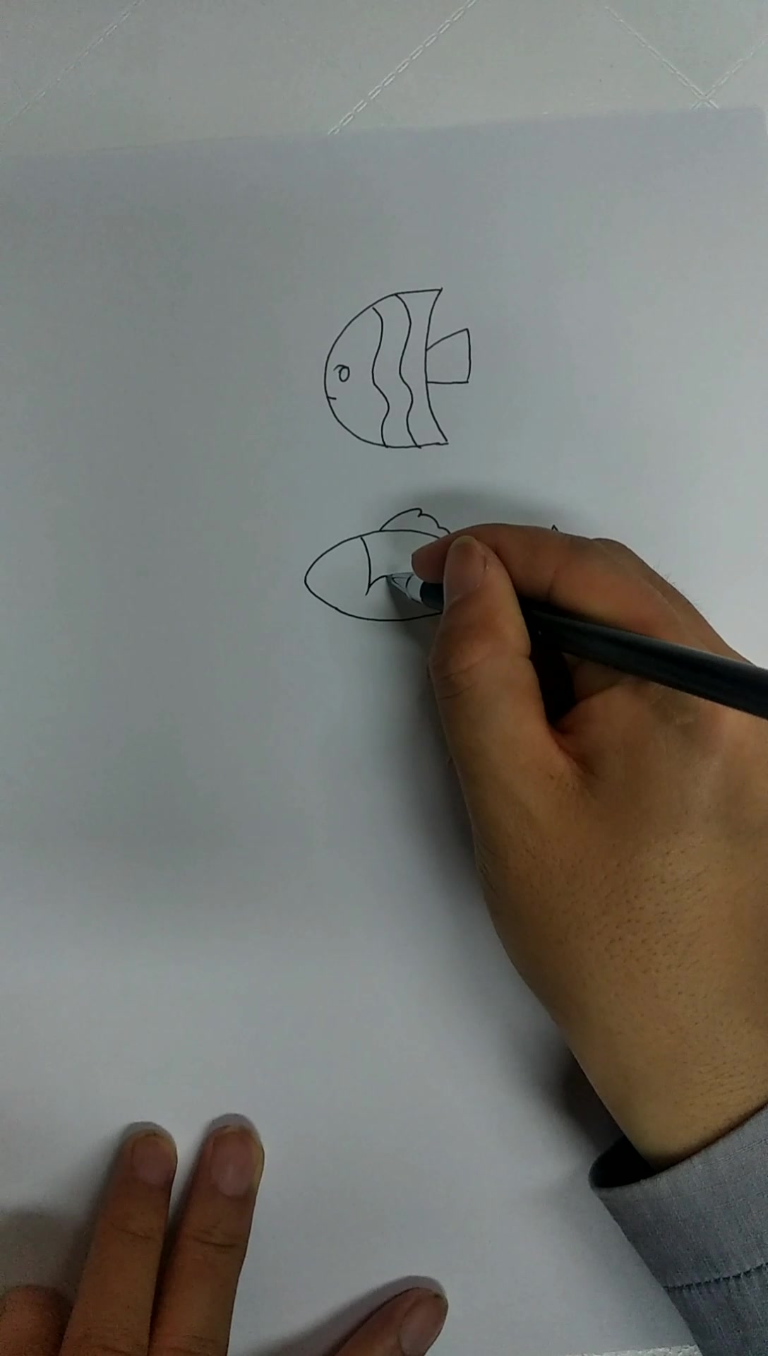 不会画鱼的来,教大家画画小鱼