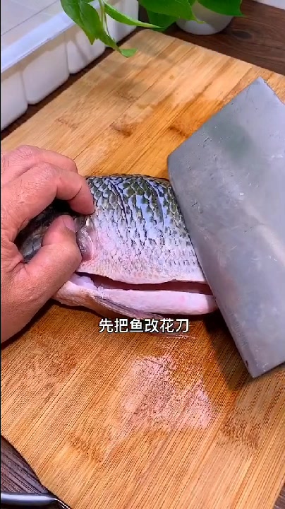 家常炖鱼做法,今天分享一个福寿鱼做法,简单做法绝对不会失败