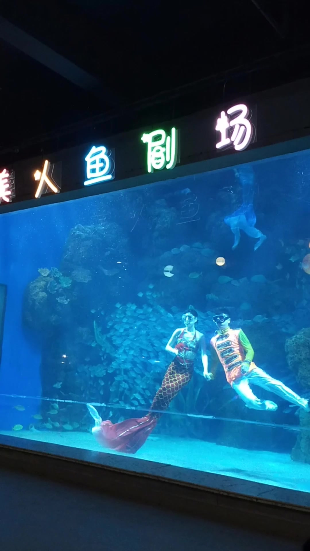 美人鱼,真的好漂亮啊!