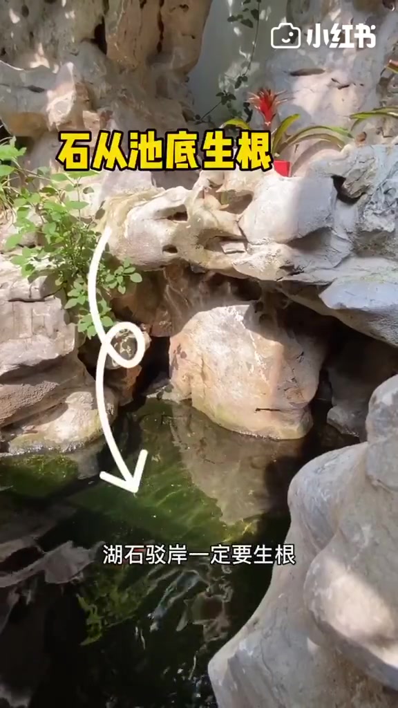 别墅庭院锦鲤鱼池应该怎么建造呢?一定要收 锦鲤鱼池施工建造的关键细节,别墅庭院锦鲤鱼池应该