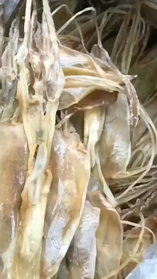 鱿鱼母干,补气养血,痴鲜野生海鲜
