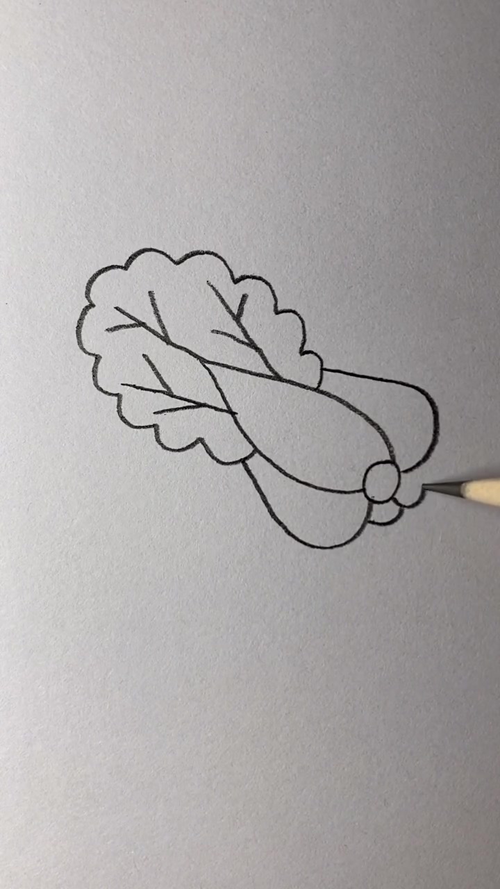 简笔画:一颗翠绿的小白菜