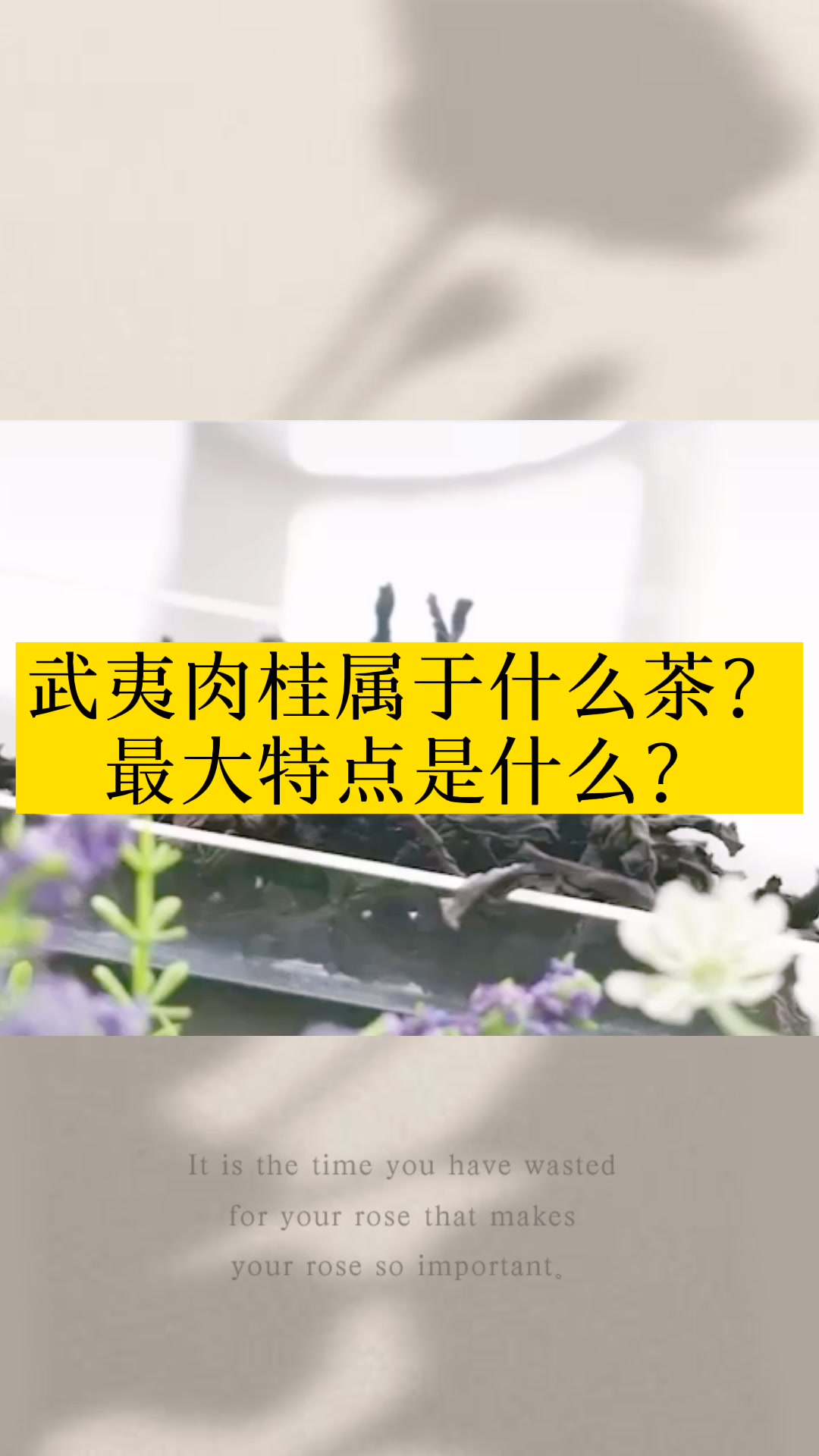 茶叶小知识:武夷肉桂属于什么茶?它最大特点是什么?