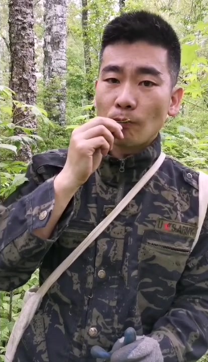 野生枸杞长啥样?