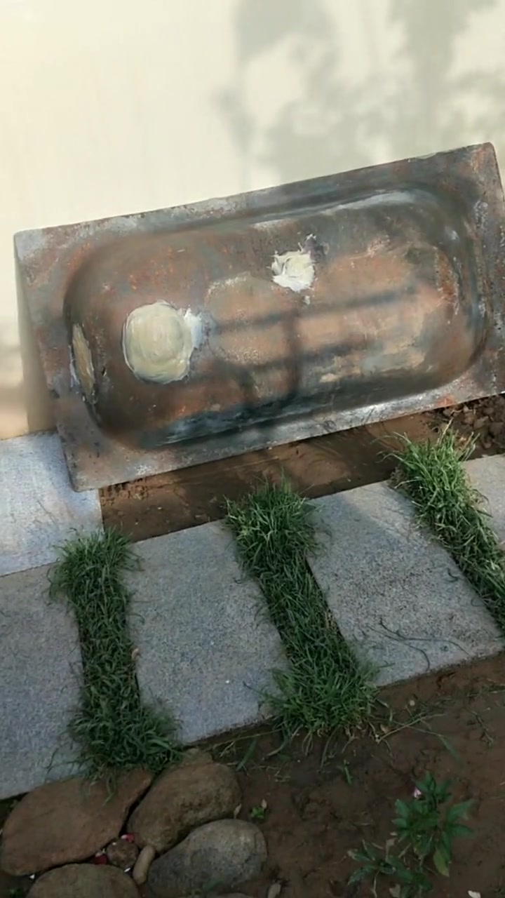 小伙用浴缸改造成鱼池,瞬间变了模样,真是高手在民间